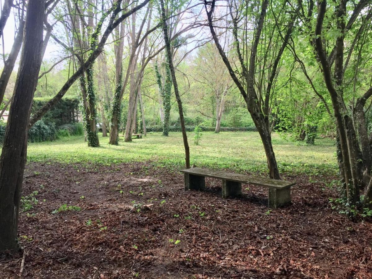 Meuble De Tourisme Dans Parc Arbore 1000M2 - Sejour-La-Roche Eperon La Roche-Posay Eksteriør billede